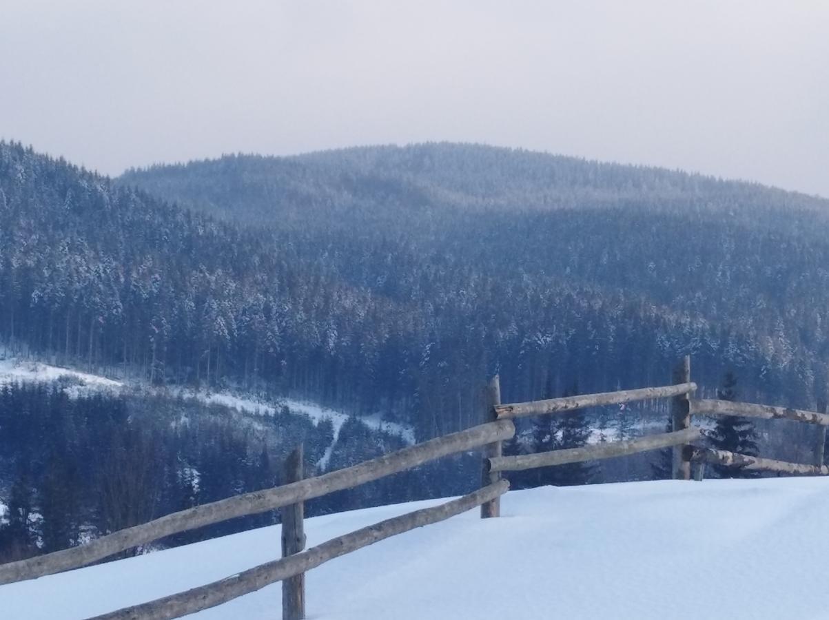 Vila Дзвін Карпат Lazeščyna Exteriér fotografie